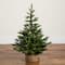 3ft. Artificial Balsam Fir Christmas Tree with Pine Cones in Jute Wire Planter